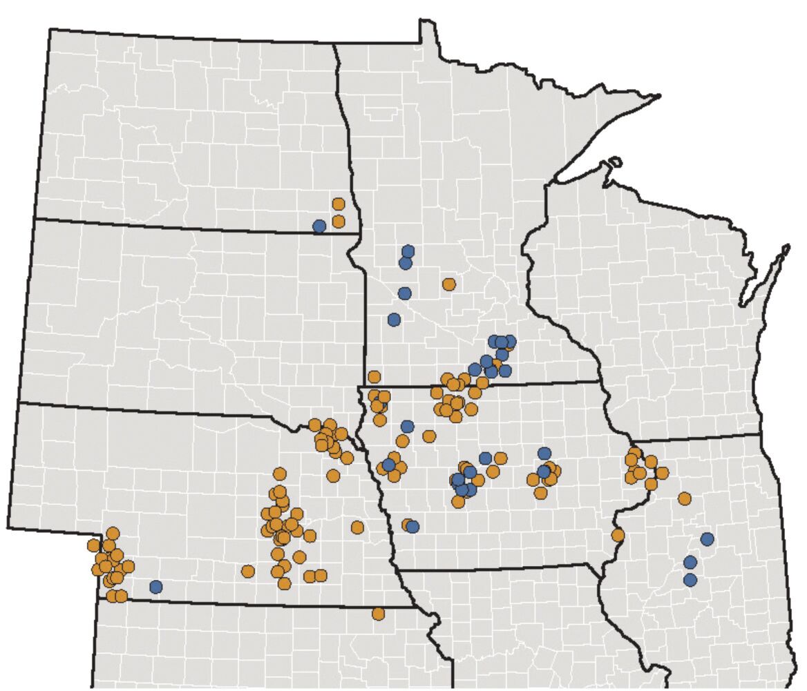 corn rootworm map